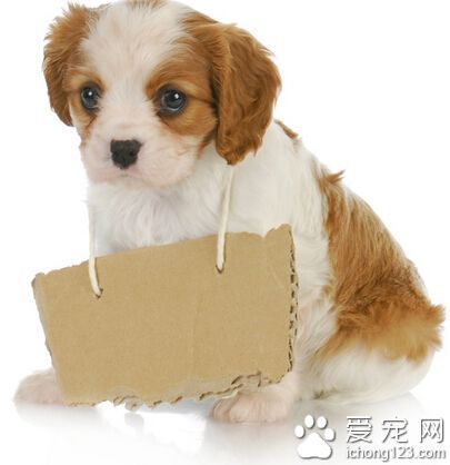 如何制定智能篮球训练计划_2